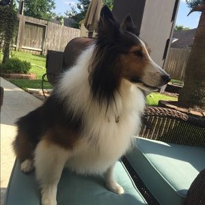 Meet your Posher, Erica